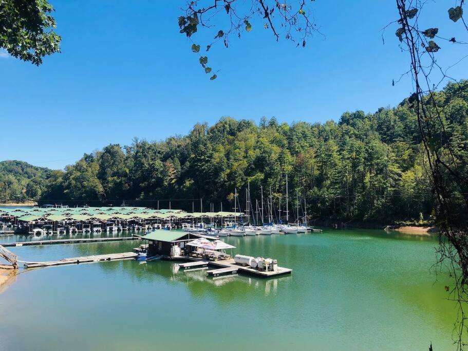 Cabin At The Cove At Watauga Lake Butler Экстерьер фото
