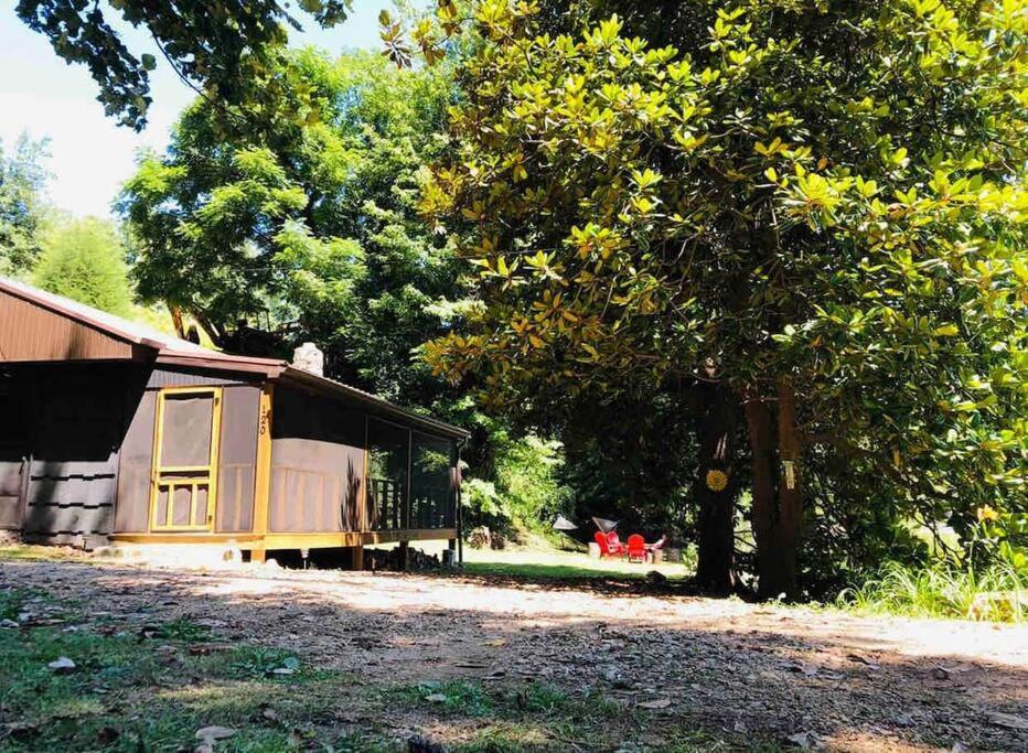 Cabin At The Cove At Watauga Lake Butler Экстерьер фото